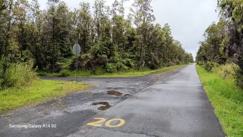 Forested Agricultural Land Parcel
