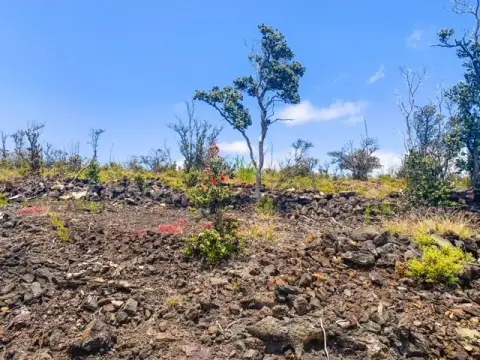 Ocean View Mountain Land Lot