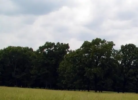 Highway Frontage Land in West Plains