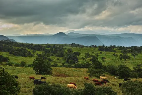 Waipi'o Valley Reserve Land
