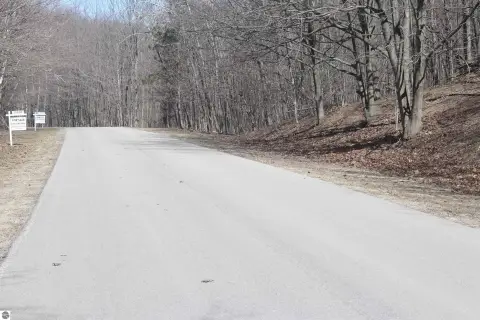 Wooded Lot in Beulah, MI