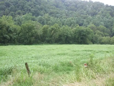 Residential Land in Hueysville, KY