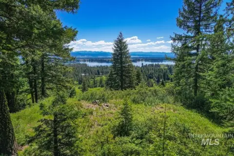 Wooded Recreational Land with Building Site