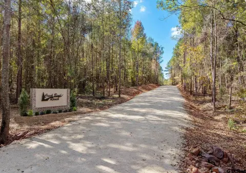 Residential Development Lot with Trees