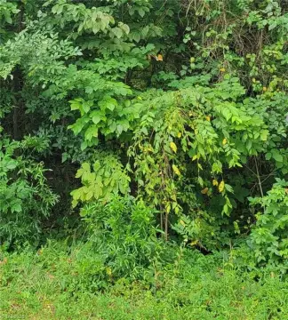 Residential Land in Kernersville, NC