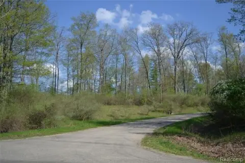 Wooded Residential Land Parcels