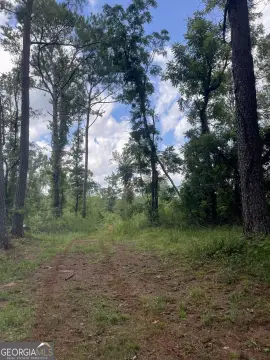 Hunting Land with Hardwood Timber