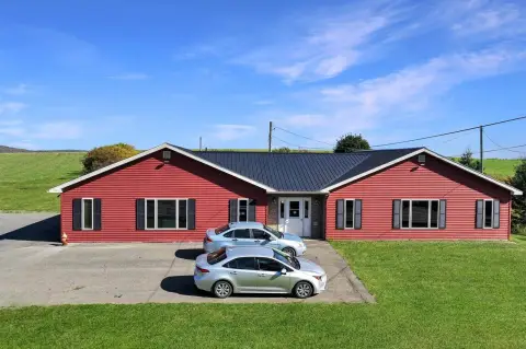 Pet Boarding Facility with Outdoor Kennels