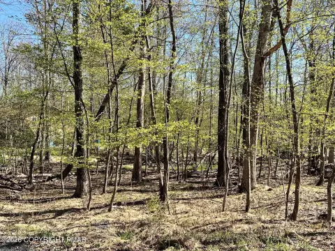 Wooded Lot in the Poconos