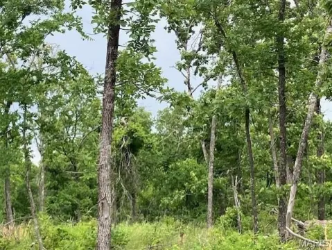 Fredericktown Land with Ridge Top