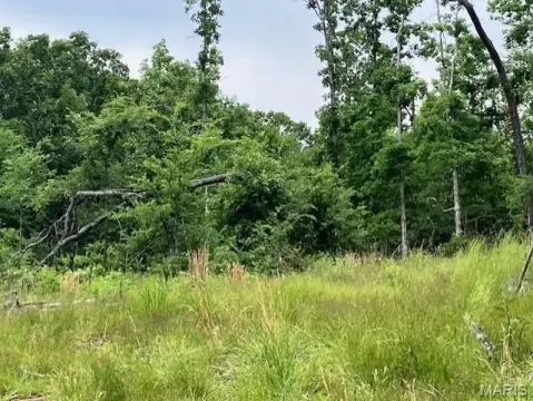 Ridgetop Land with Southwest View