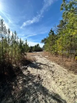 20 Acres in Ridgeland, SC