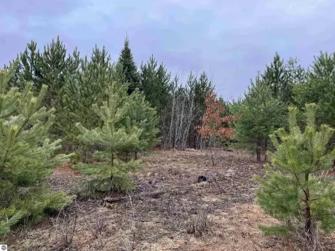 Kingsley Buildable Wooded Lot