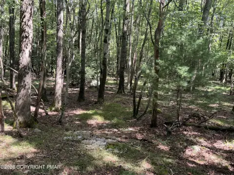 Buildable Lot in Gated Community