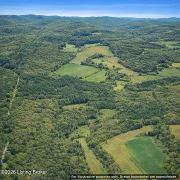 Acreage with Creek and Road Access