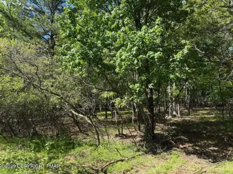 Wooded Lot in Towamensing Trails