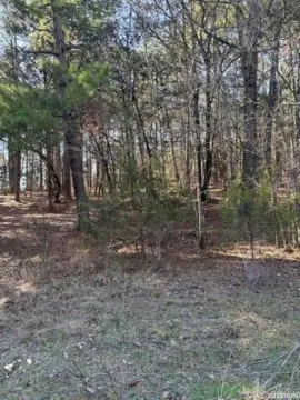 Subdivision Lot in Hot Springs