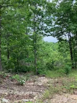Ozark Land with Deeded Access