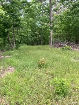 Ozark Ridge Top Recreational Land