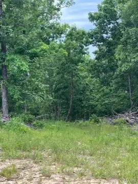 Ozark Ridge Land with Views