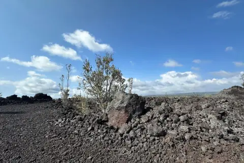 Ocean View Land Opportunity