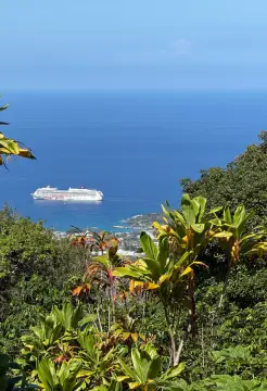 Agricultural Land with Ocean Views