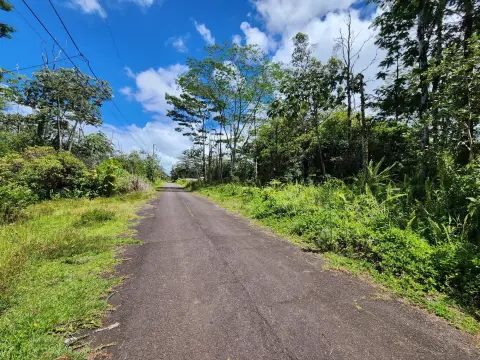 Vacant Agricultural Subdivision Lot