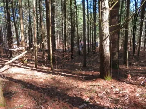 Glenfield Vacant Land For Sale