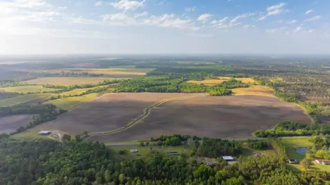 Irrigated Row Crop & Hunting Tract