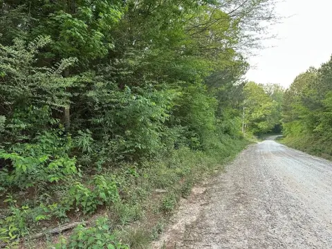 Heavily Wooded Acreage Near Bowdon