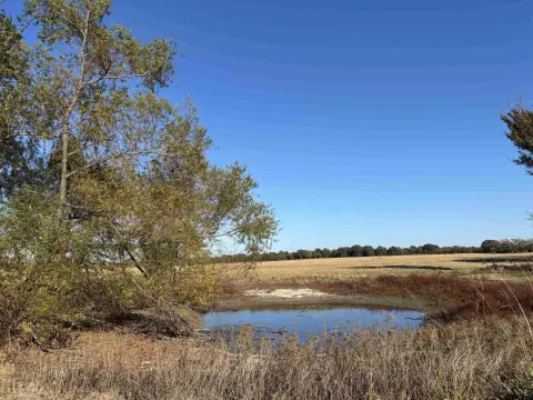 Agricultural Land with Ponds