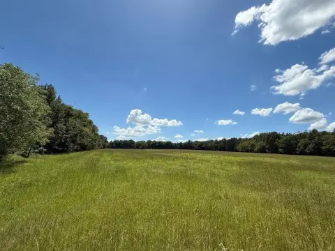 Mount Pleasant Unimproved Land