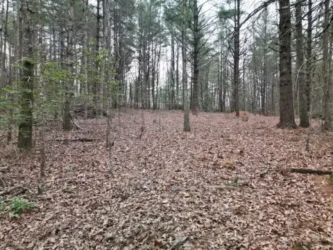 Recreation Land with RV Restrictions