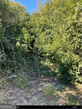 Commercial Land Near Robins AFB