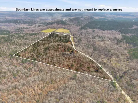 Benton Acreage Near National Forest