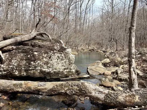 Ozark Hunting and Recreation Land
