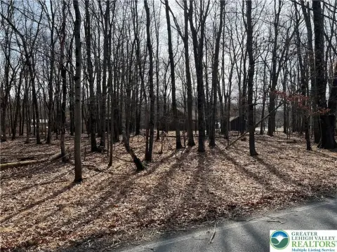 Residential Land in Penn Forest
