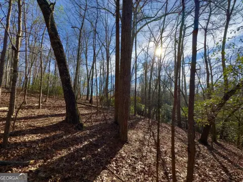 26+ Acres in Jasper, Georgia