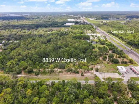 Crystal River Buildable Commercial Land