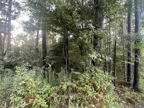 Land Lot in Gilmer, TX