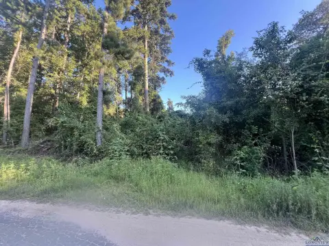 Spacious Lots in Gilmer, TX