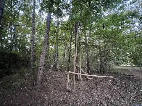 Unrestricted Land in Gilmer, TX