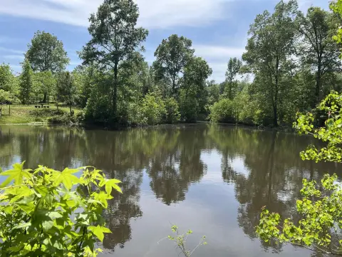 Timpson, TX Acreage with Pond