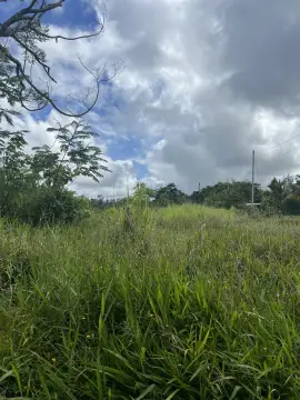 Level Residential and Agricultural Land