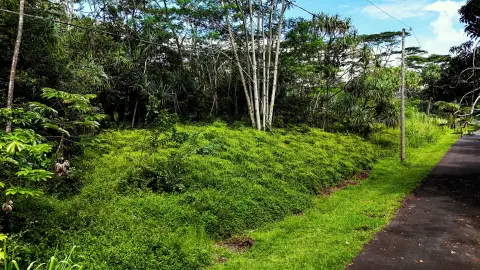 Vacant Land Lot Near End Road