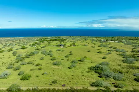 Gently Sloping Ranch Parcel