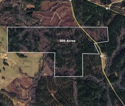 200 Acres in Cleburne County