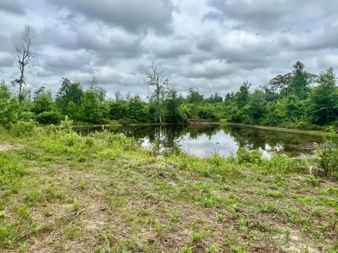 22.67 Acres Mini Farm Potential