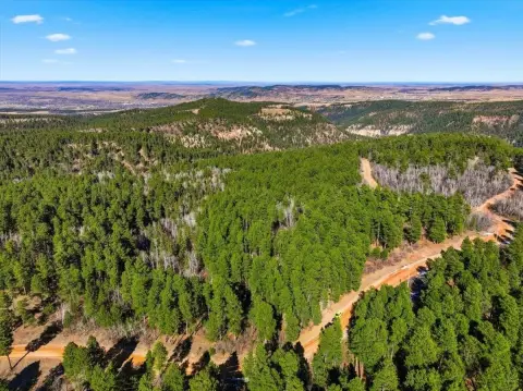 Land Near Black Hills Forest
