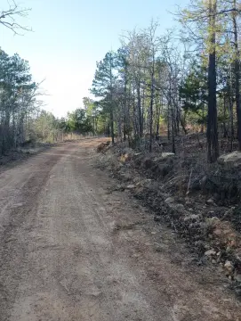 Panola Mountain Vacant Hunting Land